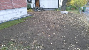 20161020_104405