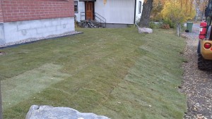 20161020_124639