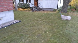 20161020_124653