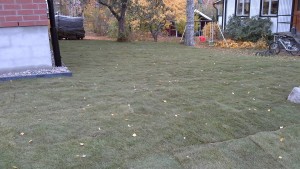 20161020_124700