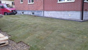 20161020_124708