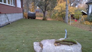 20161020_124720